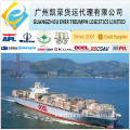 Sea Freight From China to South Africa 20/40gp Container